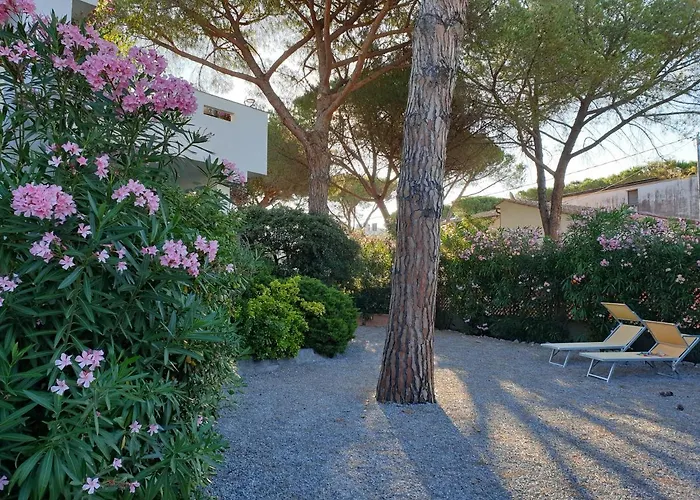 Appartement Montecristo 1 *