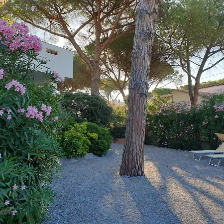 Montecristo 1 * 마리나디캄포