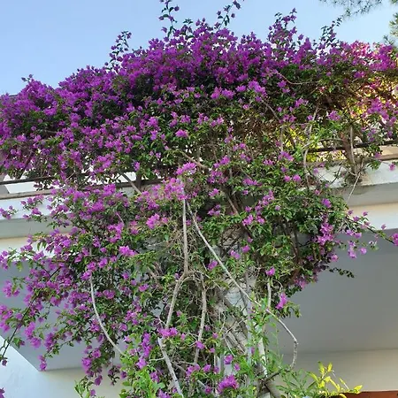 Montecristo 1 아파트 마리나디캄포