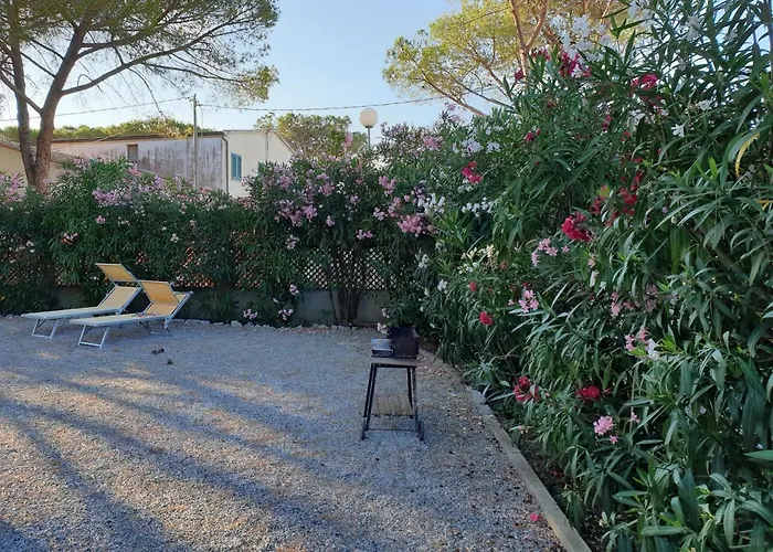 公寓 Montecristo 1 坎普码港