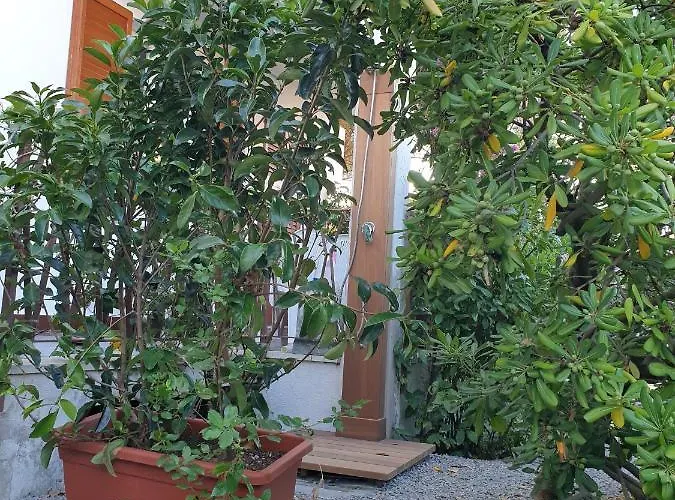 Montecristo 1 * 坎普码港