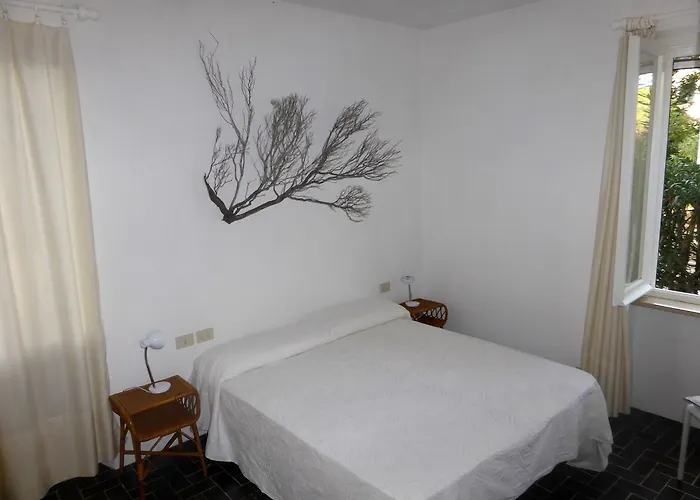 Montecristo 1 坎普码港