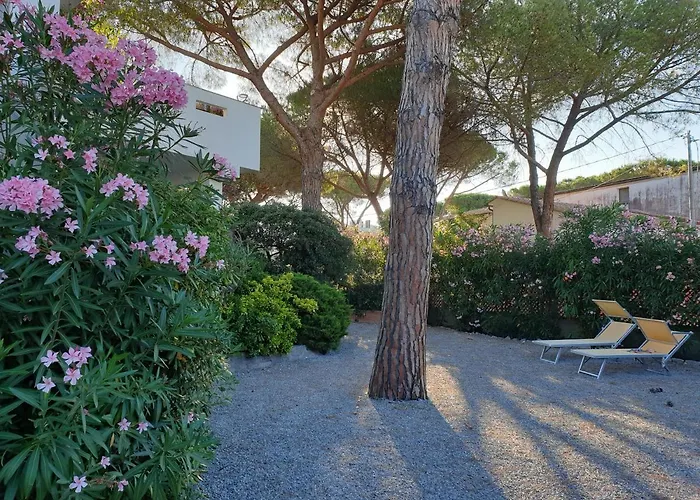 Montecristo 1 * Marina di Campo